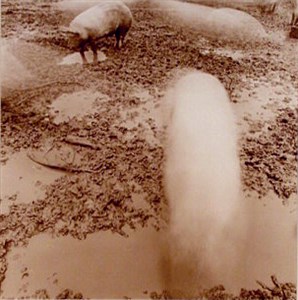 Image description is not available for 1973.004